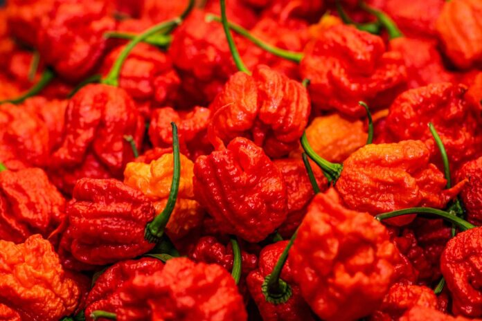 Đây được coi là một trong những loại ớt nổi tiếng nhất thế giới (Ảnh: Internet)