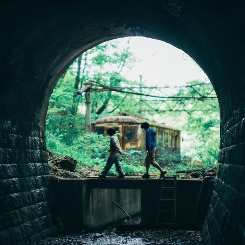 Vẻ đẹp bình yên, thơ mộng của núi rừng Nhật Bản qua ống kính của Kore-Eda Hirokazu. Nguồn: Ảnh từ Internet.