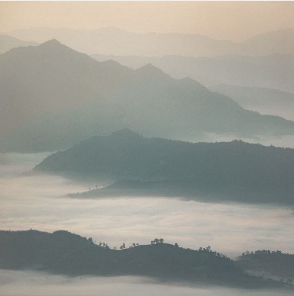 Ngắm bình minh trên biển sương mù ở Phu Chi Fa (Ảnh: Internet)