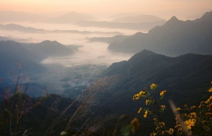 Biển sương Phu Chi Fa nhìn từ Chiang Rai (Ảnh: Internet)