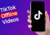 TikTok đã có tính năng chuyên dụng để xem video offline (Ảnh: Internet)