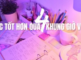 Ảnh bìa (nguồn: des canva)