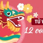 Tử vi 12 con giáp ngày 15/2/2024: TOP 4 con giáp may mắn nhất đầu năm