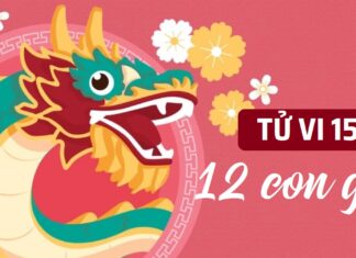 Tử vi 12 con giáp ngày 15/2/2024: TOP 4 con giáp may mắn nhất đầu năm