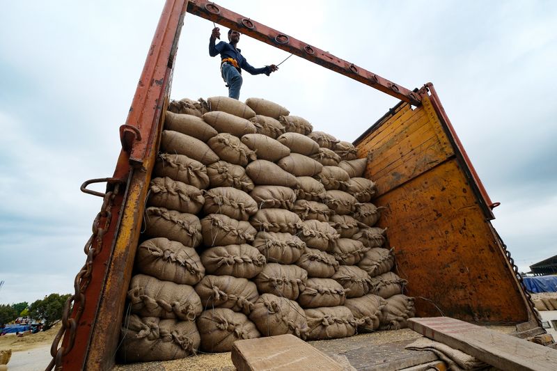 Ấn Độ - quốc gia hàng đầu trong xuất khẩu gạo (Nguồn: Internet)