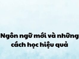 Ngôn ngữ mới và những cách học hiệu quả (nguồn:canva)