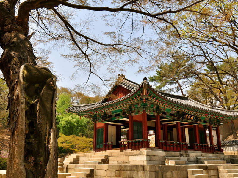 Cung điện Changdeokgung - Đông cung tráng lệ của Hàn Quốc (Nguồn: Internet)
