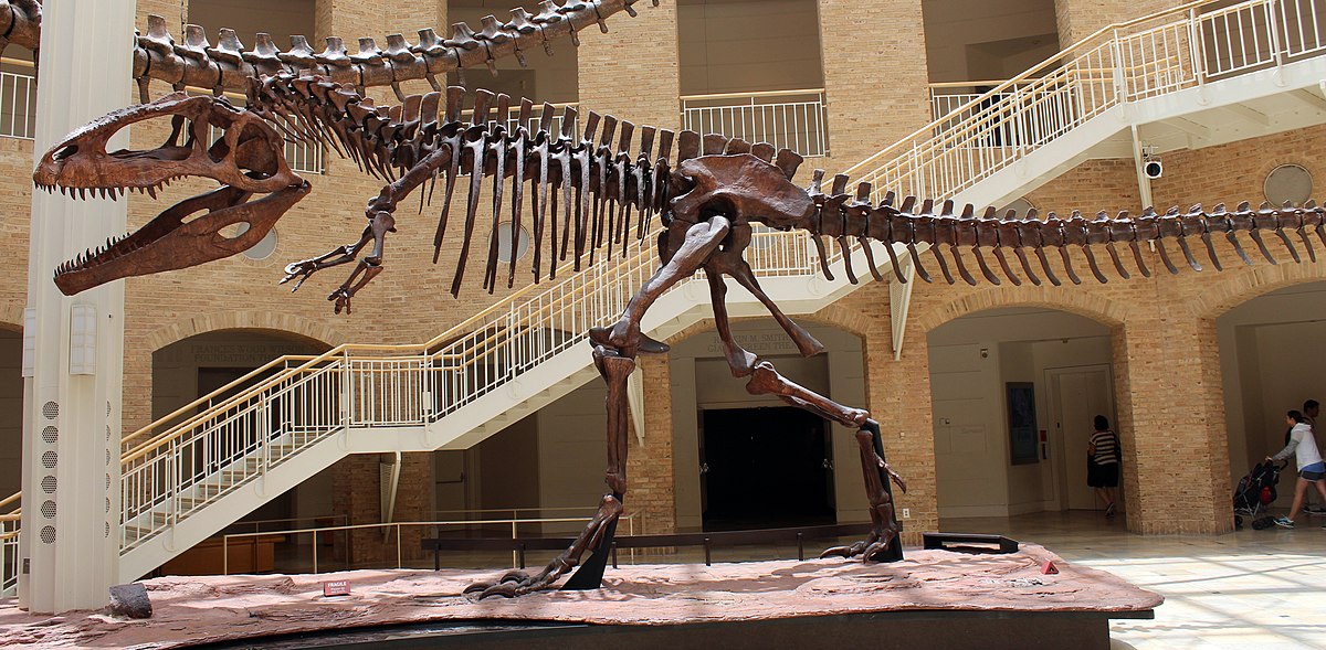 Giganotosaurus (Nguồn: Internet)