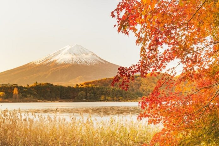 Dưới chân núi Phú Sĩ, có 5 hồ mang tính biểu tượng được biết đến rộng rãi với tên gọi “Phú Sĩ Ngũ Hồ” và được người Nhật Bản ngưỡng mộ từ thời cổ đại. (Ảnh: Internet)
