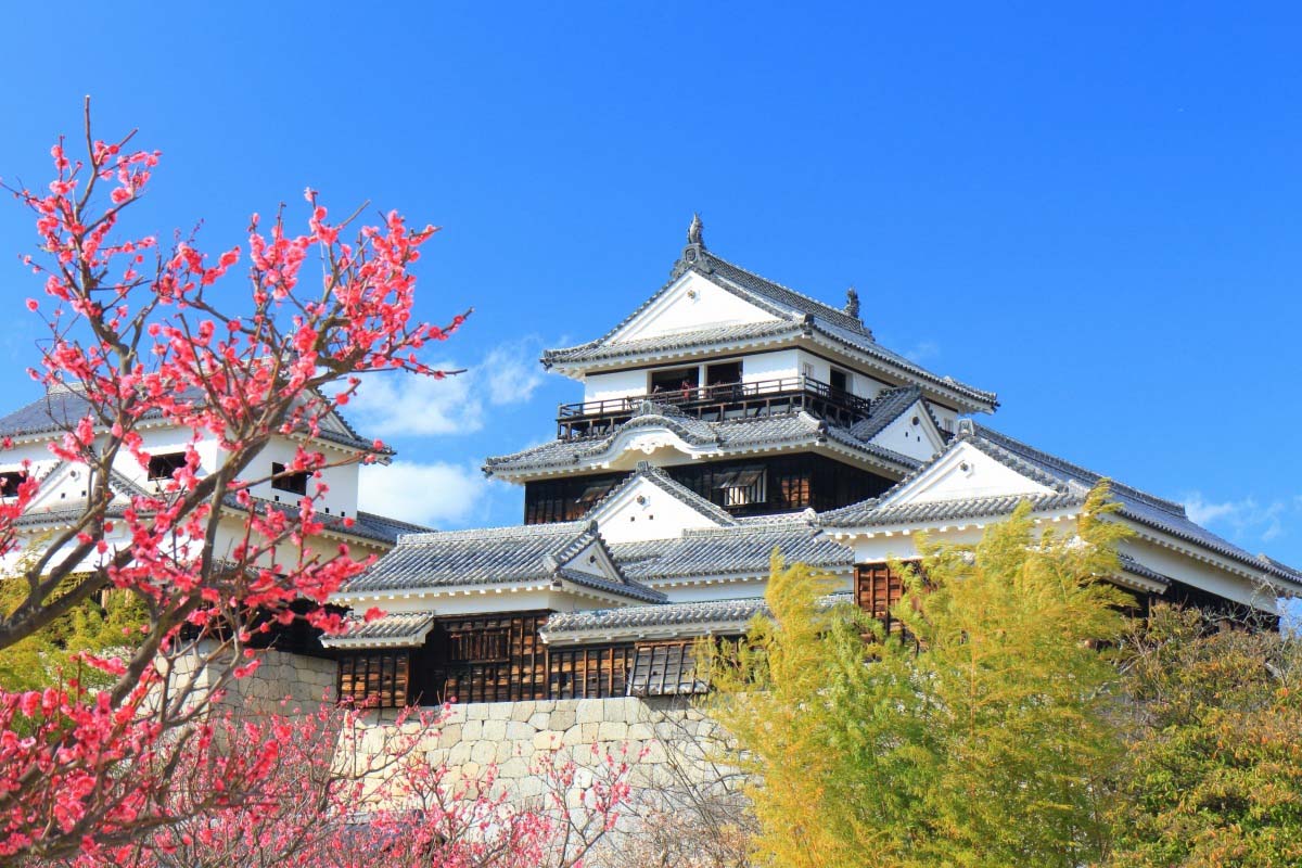 Lâu đài Matsuyama. (Nguồn: Internet)