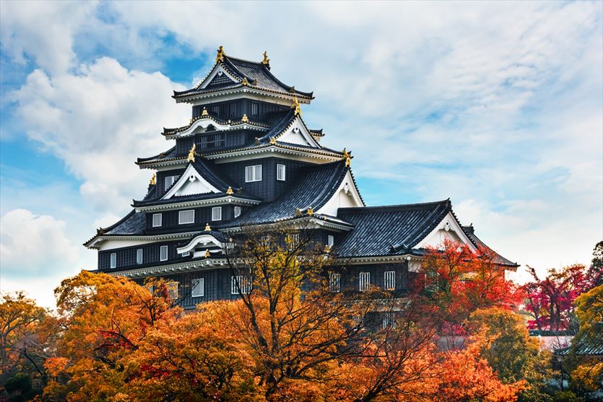 Lâu đài "Qụa" - Okayama. (Nguồn: Internet)