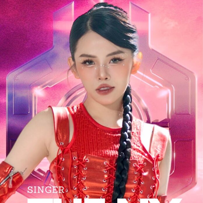 Tuệ Ny singer là ai? (Ảnh: Internet)