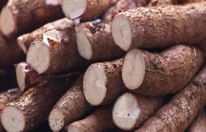 10 loại thực phẩm có thể khiến chúng ta ngộ độc đến chết! Bitacochim cút đậu đỏ khám phá khoai lang khoai tây nam ngộ độc nhục đậu khấu quế Rau mầm sán thế giới thú vị Top 10 xoài