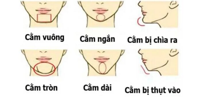 Tướng cằm dự đoán vận mệnh