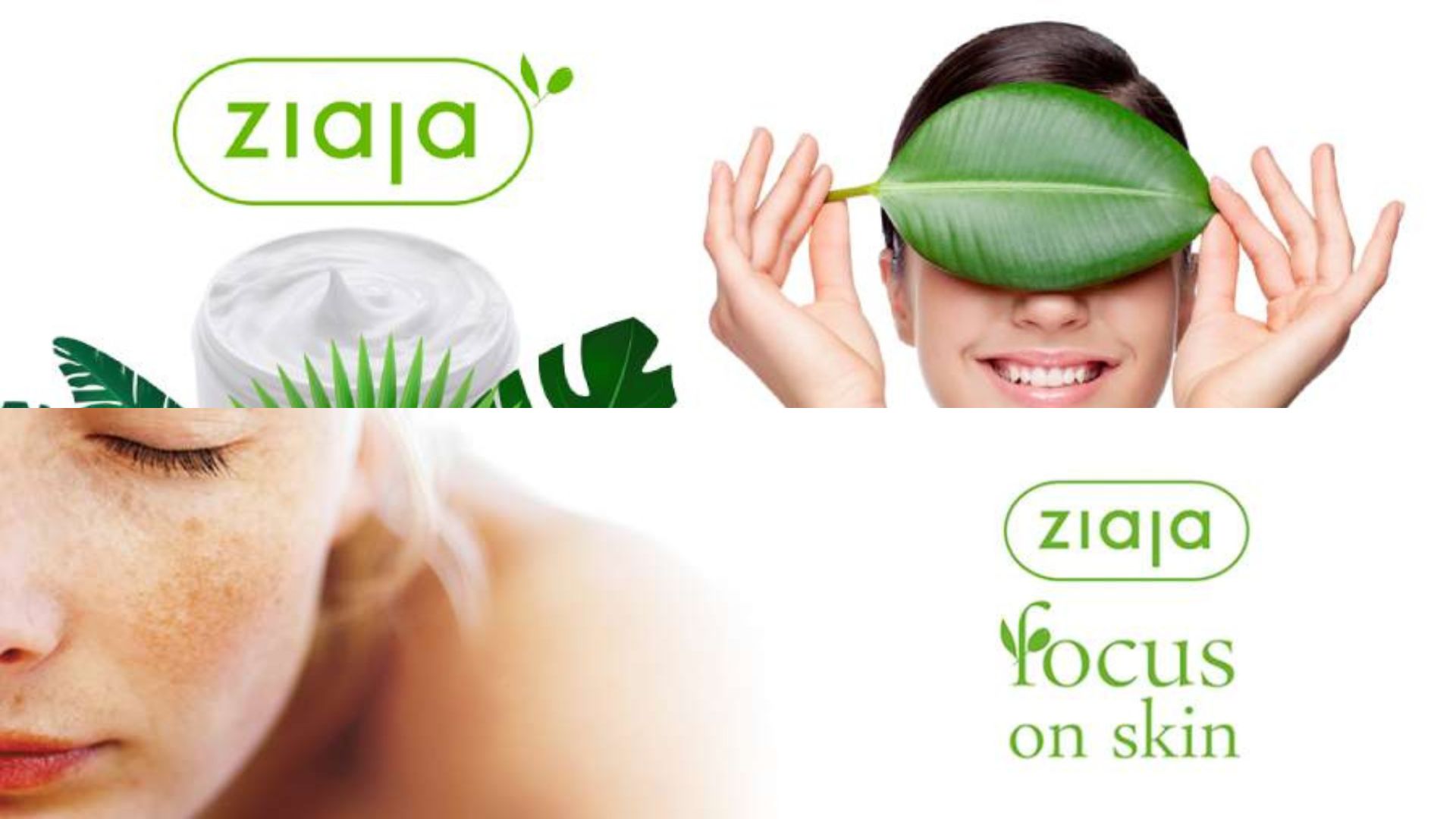 Ziaja là hãng dược mỹ phẩm lớn nhất và uy tín nhất tại Ba Lan (Nguồn: Internet)