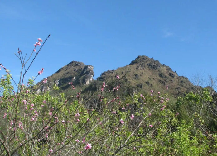 Vườn hoa tại núi Hàm Rồng (ảnh: Internet)