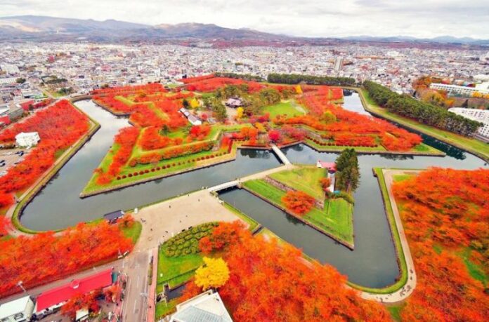 Pháo đài ngôi sao Goryokaku lãng mạn vào mùa thu (ảnh: Internet)