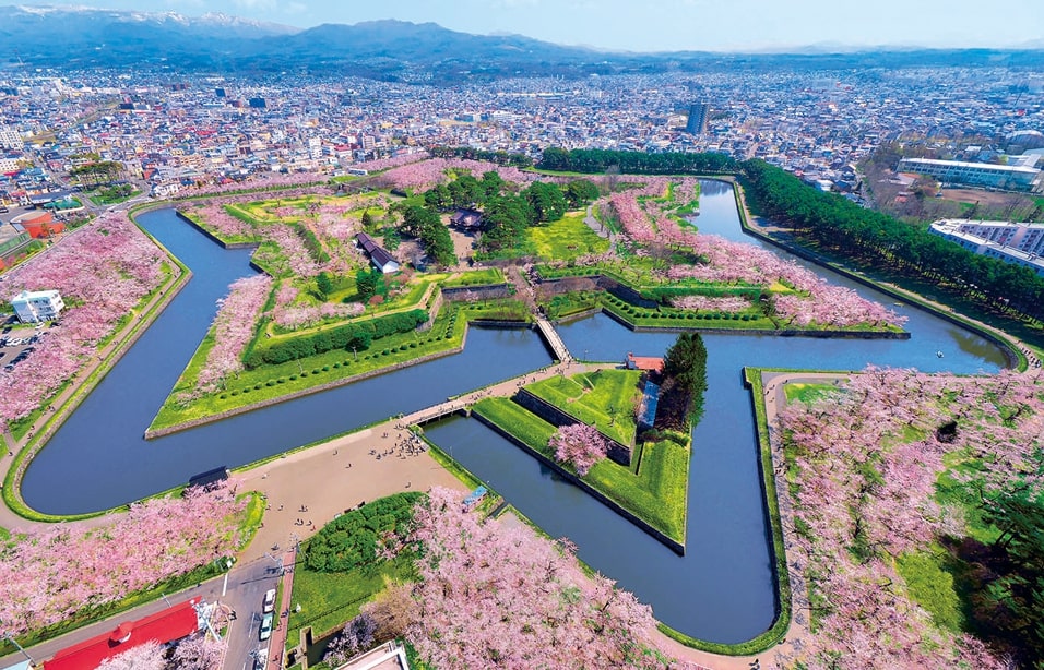 Pháo đài ngôi sao Goryokaku vào mùa xuân ngập sắc hoa anh đào (ảnh: Internet)