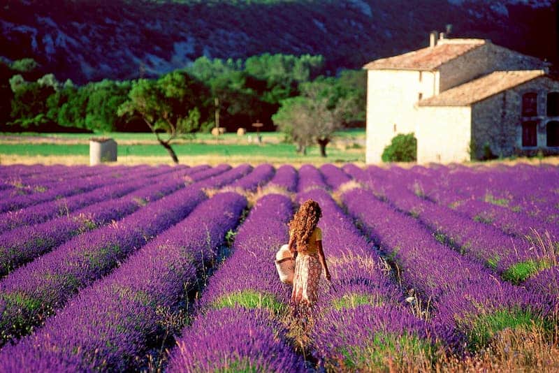 Provence - Thành phố mộng mơ trong lòng nước Pháp (Nguồn: Internet)