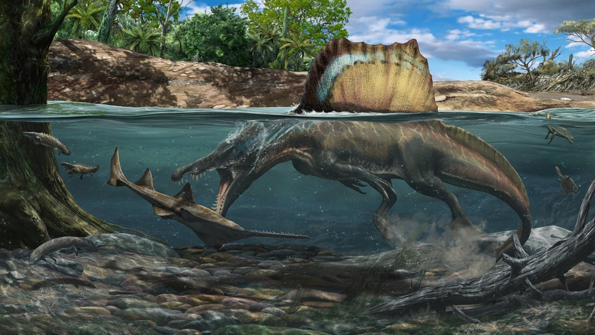 Spinosaurus - quái vật gây tranh cãi nhất lịch sử (Nguồn: Internet)