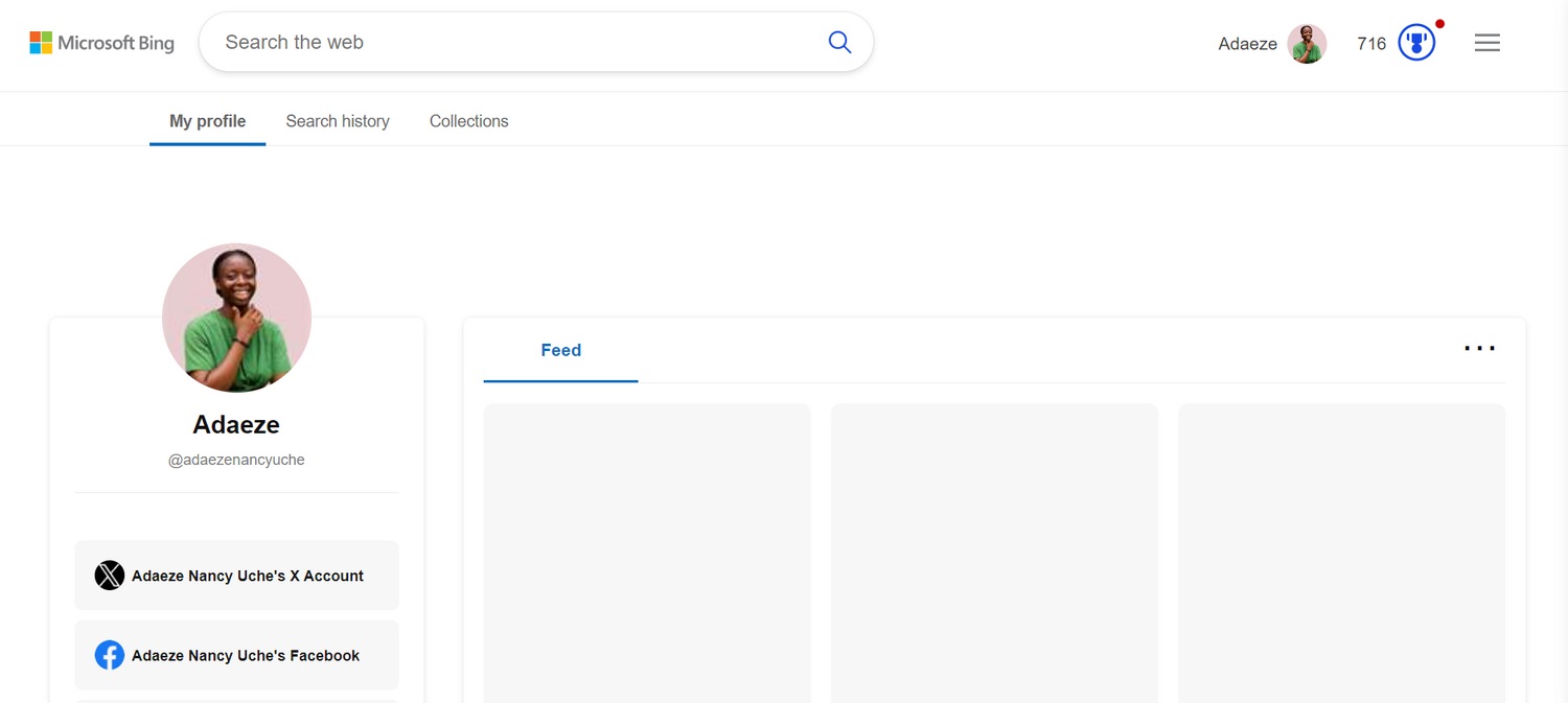 Trang hiển thị hồ sơ tài khoản Bing của người dùng với các tab Bộ sưu tập và Lịch sử Tìm kiếm (Ảnh: Internet)