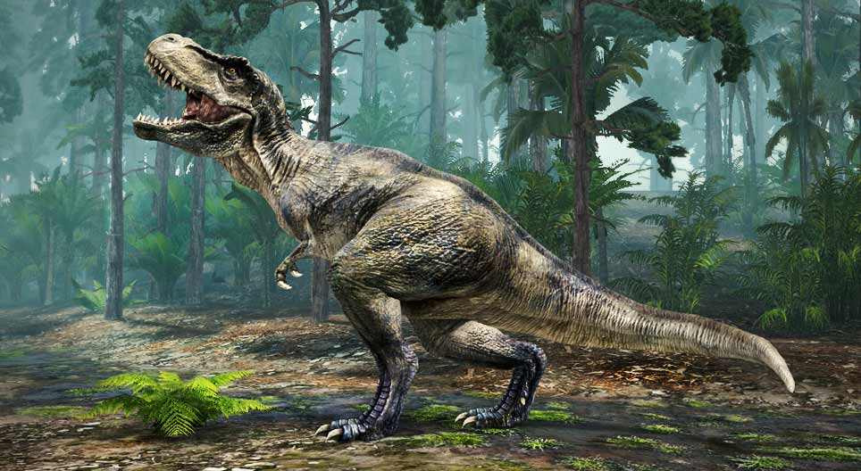 Tyrannosaurus Rex (Nguồn: Internet)