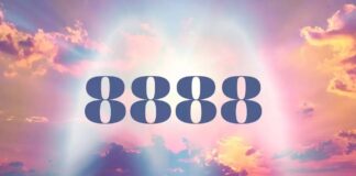 Ý nghĩa số thiên thần 8888: Giàu có và may mắn (Ảnh: Internet)