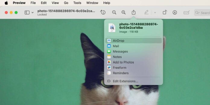 Chọn chia sẻ file qua AirDrop trên máy Mac (Ảnh: Internet)