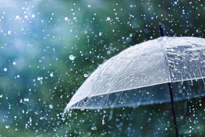 Bài văn tả cơn mưa mùa xuân hay chọn lọc (Ảnh: Internet)
