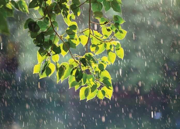 Bài văn tả cơn mưa mùa hạ lớp 5 hay nhất (Ảnh: Internet)
