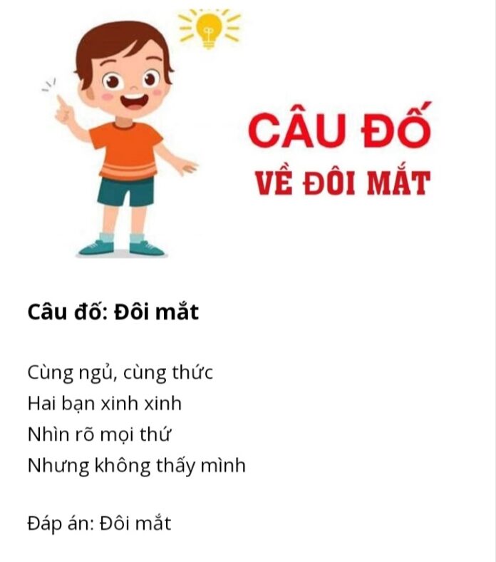 Câu đố mẹo có đáp án về các bộ phận cơ thể (Ảnh: Internet)