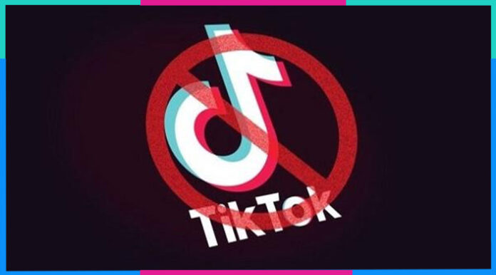 Dịch vụ tăng follow TikTok cung cấp cơ hội cho các tài khoản cá nhân và doanh nghiệp mở rộng tầm ảnh hưởng của họ trên nền tảng TikTok (Ảnh: Internet)