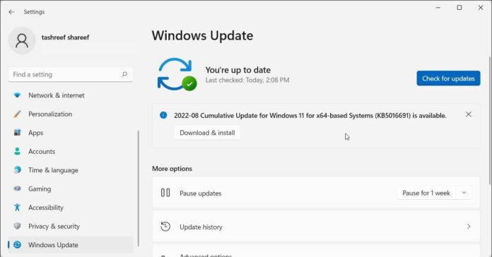 Windows Update trong Settings của Windows 11 (Ảnh: Internet)