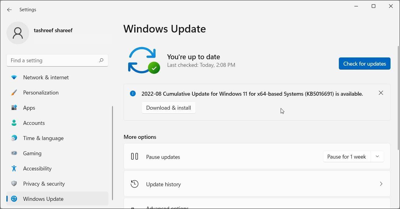 Windows Update trong Settings của Windows 11 (Ảnh: Internet)