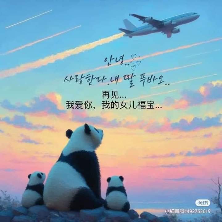 Poster fan-made chia tay Fubao khi nàng "công chúa" trở về Trung Quốc. Ảnh: Internet.