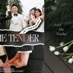 Love me tender là gì? 999+ hình nền hoa tulip trắng để “xin vía” tình yêu