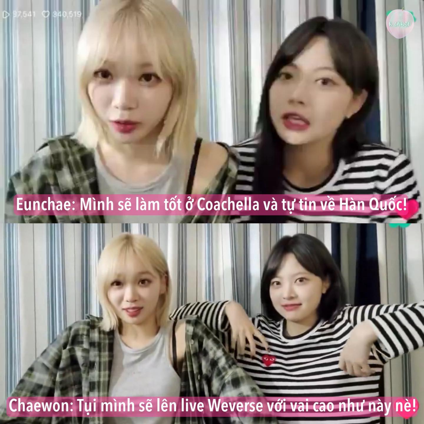 Bởi trước đó, hai thành viên của nhóm là Chaewon và Eunchae đã tự tin, mạnh miệng lên livestream tuyên bố với khán giả nhóm sẽ tự tin trở về Hàn Quốc sau màn biểu diễn tại Coachella.