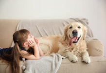 Lợi ích phong thủy của việc nuôi chó trong nhà (Ảnh: Int