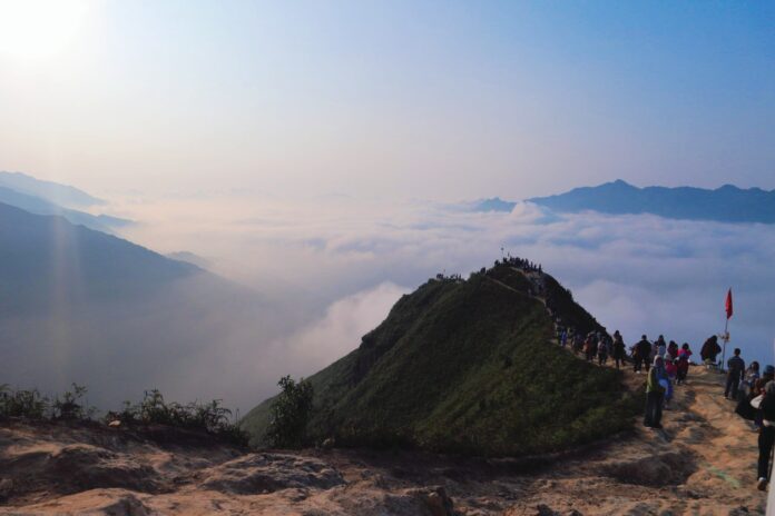 Sống lưng khủng long (ảnh: Ngọc Hiền)