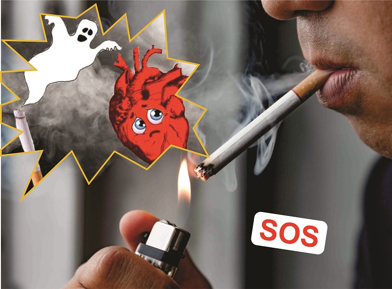 Tác hại của thuốc lá lên tim mạch (Nguồn: Internet)