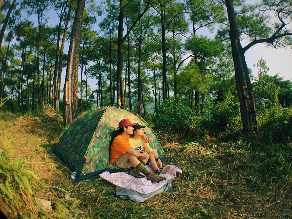 Đến vườn quốc gia Bạch Mã, các bạn trẻ và gia đình thường chọn hình thức cắm trại để có trải nghiệm tối đa. (Ảnh: Internet)