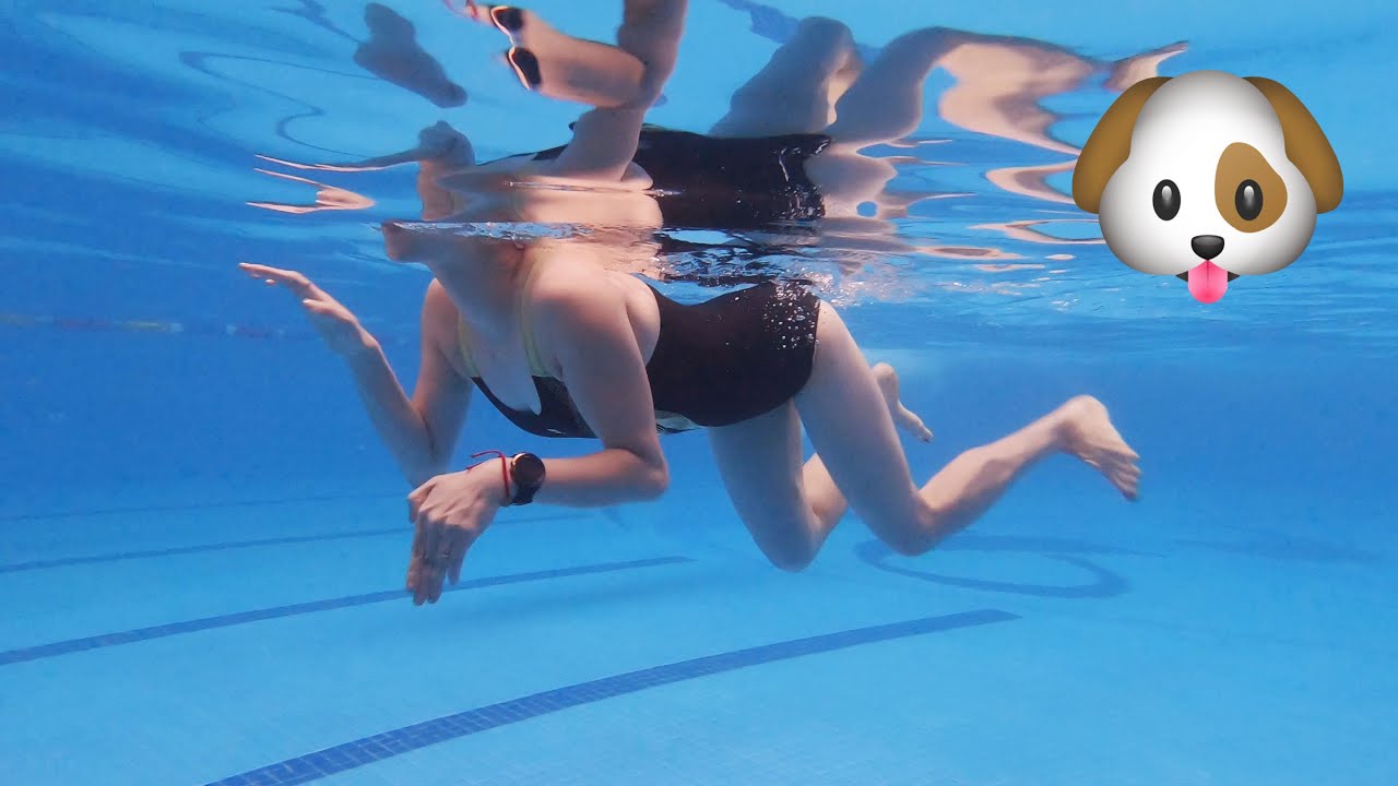 Bơi chó - kiểu bơi đơn giản nhất và thường được sử dụng cho mục đích giải trí hoặc tìm cứu (Nguồn: Internet)