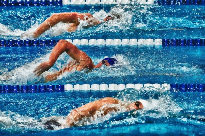 5 kiểu bơi phổ biến giúp cho bạn cải thiện vóc dáng và sức khỏe cơ thể Bơi bướm Bơi chó Bơi ếch Bơi ngửa Bơi tự do các kiểu bơi kiểu bơi phổ biến
