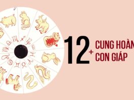 Cung hoàng đạo của 12 con giáp xác định tính cách, vận mệnh mỗi người
