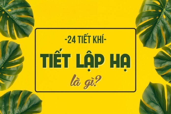 Lập Hạ 2024 là ngày nào? (Ảnh