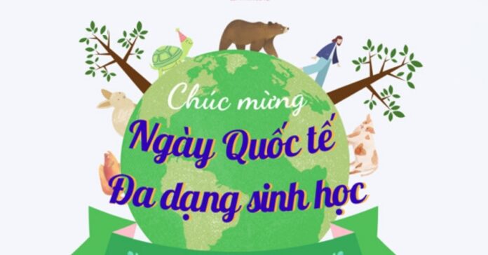 Ngày 22/5 là ngày Quốc tế Đa dạng sinh học (Ảnh: Internet)