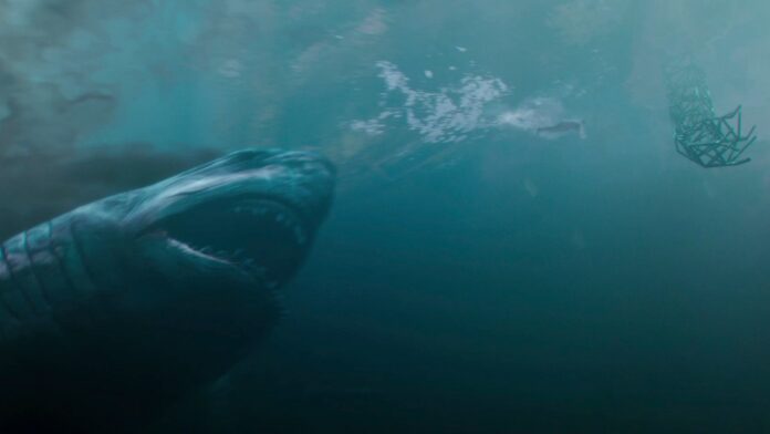 Con cá mập đang săn từng người trong gia đình (Ảnh: internet)