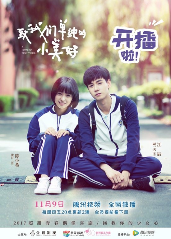 Poster bản Trung của bộ phim ( ảnh: internet).