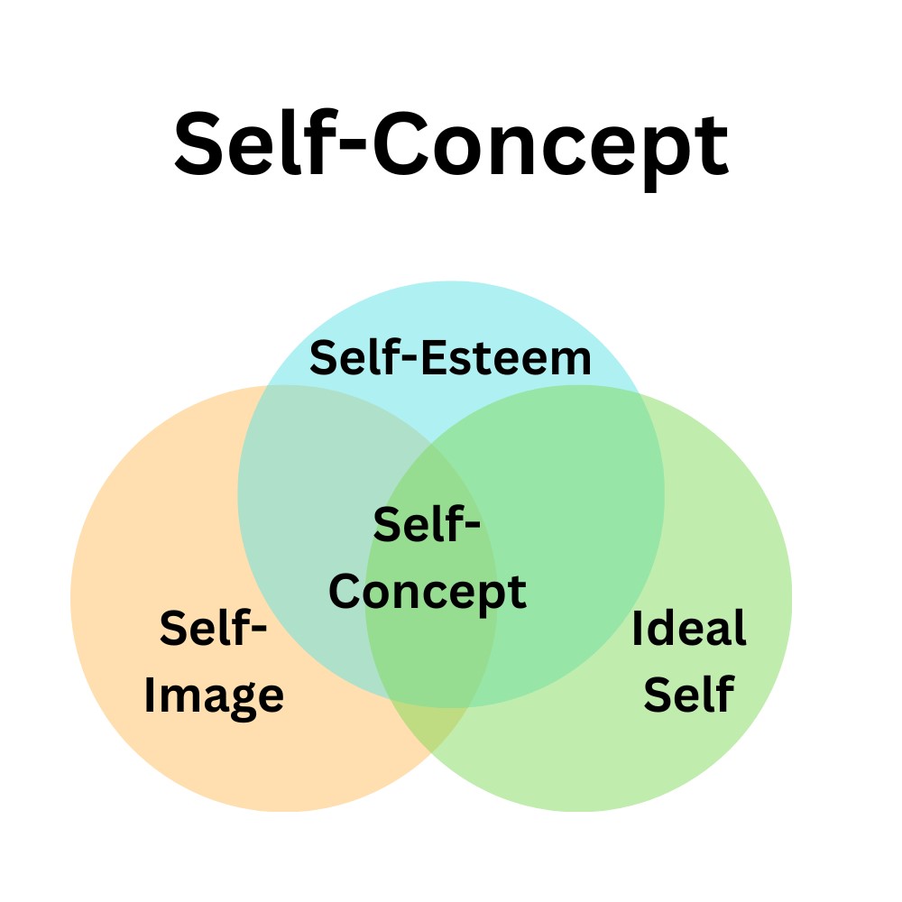 Các thành phần của Self-concept