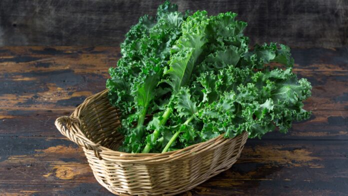 10 tác dụng của cải Kale xoăn vua rau: 5 công thức giảm cân ngon miệng, ngon dáng! cải Kale cải Kale là gì cải Kale tác dụng cải xoăn lợi ích cải Kale rau cải xoăn tác dụng cải xoăn tác dụng của cải xoăn
